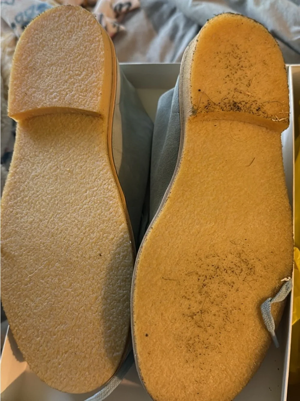 Light Blue Suede Desert Boots